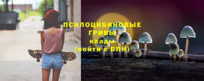 Галлюциногенные грибы Magic Shrooms  blacksprut как войти  Шенкурск 